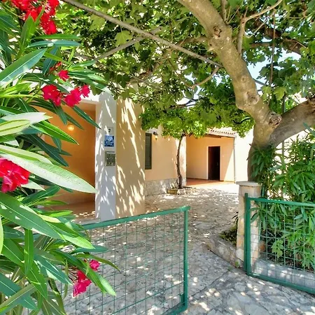 House Flora *