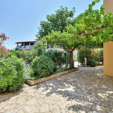 House Flora *